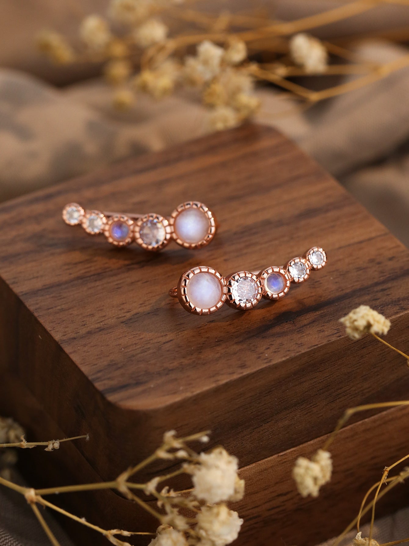 Aurora Moonstone Earrings