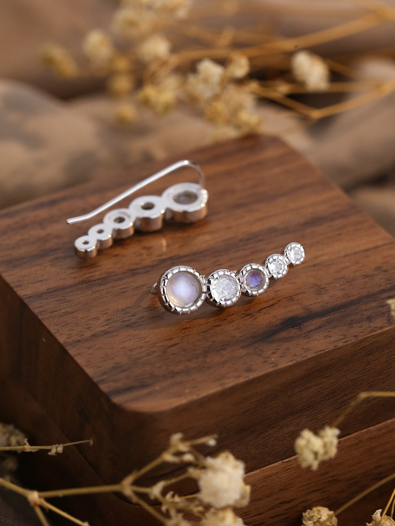 Aurora Moonstone Earrings